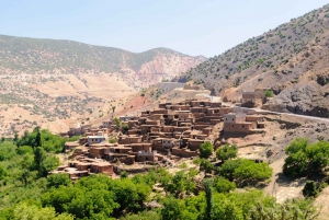 From Marrakech: Guided Full-Day Trip to Ourika Valley