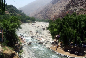 From Marrakech: Guided Full-Day Trip to Ourika Valley