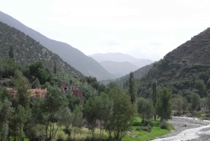 From Marrakech: Guided Full-Day Trip to Ourika Valley