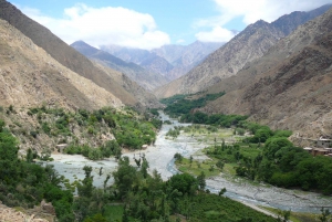 From Marrakech: Guided Full-Day Trip to Ourika Valley