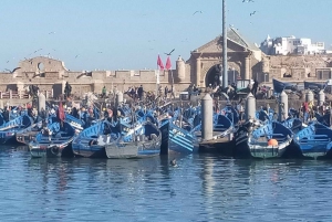 From Marrakech: Guided tour of Essaouira the coastal city