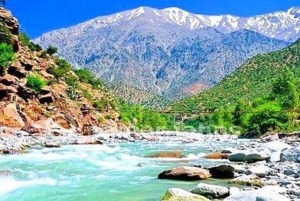 Från Marrakech: Halvdagsutflykt till Atlasbergen & Ourika