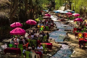 Från Marrakech: Halvdagsutflykt till Atlasbergen & Ourika