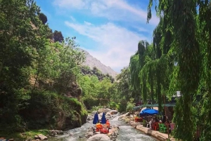 Från Marrakech: Halvdagsutflykt till Atlasbergen & Ourika