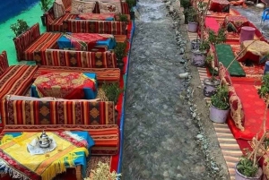 Från Marrakech: Halvdagsutflykt till Atlasbergen & Ourika