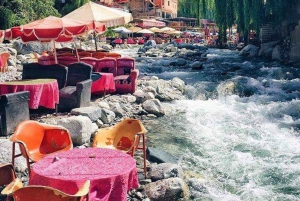 Från Marrakech: Halvdagsutflykt till Atlasbergen & Ourika