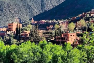 Från Marrakech: Halvdagsutflykt till Atlasbergen & Ourika