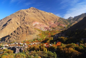 Från Marrakech: Berberisk matlagningskurs i High Atlas