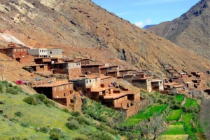 From Marrakech: High Atlas Mountains and 4 Valleys Day Trip