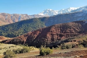 From Marrakech: High Atlas Mountains and 5 Valleys Day Trip