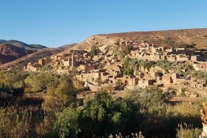 Von Marrakech aus: Tagestour durch den Hohen Atlas und die 5 Täler