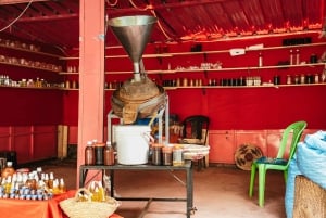 Da Marrakech: Escursione di un giorno sulle montagne dell'Alto Atlante e le 5 valli