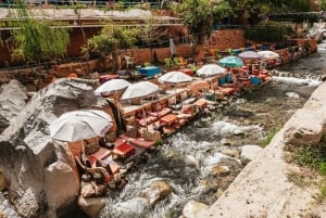 Da Marrakech: Escursione di un giorno sulle montagne dell'Alto Atlante e le 5 valli