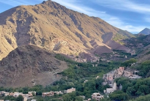 De Marraquexe: Viagem de 1 dia a Imlil e almoço numa casa de família local