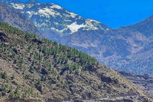 De Marraquexe: Viagem de 1 dia a Imlil e almoço numa casa de família local