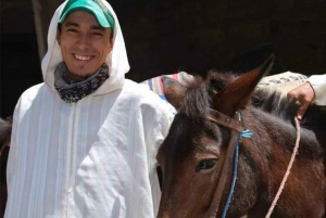 Fra Marrakech: Imlil Village og Kik Plateau dagsudflugt