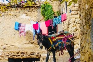 マラケシュ発：イムリル村とキク高原への日帰り旅行
