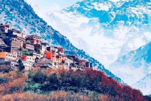 マラケシュ発：イムリル村とキク高原への日帰り旅行