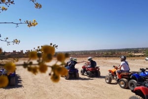 De: Marrakech: Lalla Takerkoust Lake Quad Bike Experience