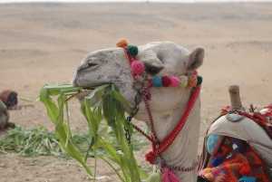 From Marrakech: Merzouga 3-Day Desert Safari with Food