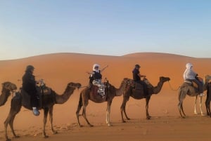 From Marrakech : Merzouga 3 day desert tour with camel ride