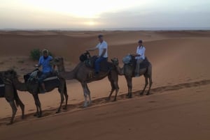 From Marrakech : Merzouga 3 day desert tour with camel ride