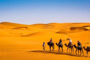Marrakech: Merzouga 3-Day Desert Tour w/Quad & Camel Rides