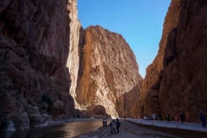 From Marrakesh : Luxury 3-day&2-night with quad adventure