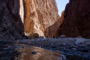 From Marrakesh : Luxury 3-day&2-night with quad adventure