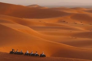 Z Marrakeszu: 3-dniowa wycieczka na pustynię Merzouga