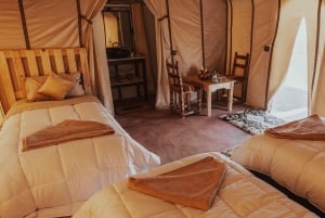 Fra Ouarzazate 3 dages Sahara-ørkencamp