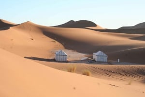 Fra Ouarzazate 3 dages Sahara-ørkencamp