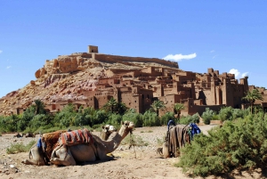 Vanuit Marrakech: Ouarzazate & Ait Benhaddou Dagtrip met gids