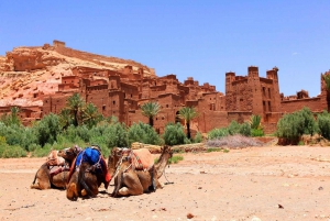 Från Marrakech: Dagsutflykt till Ouarzazate och Ait Benhaddou