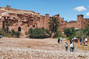 Fra Marrakech: Dagstur til Ouarzazate og Ait Benhaddou