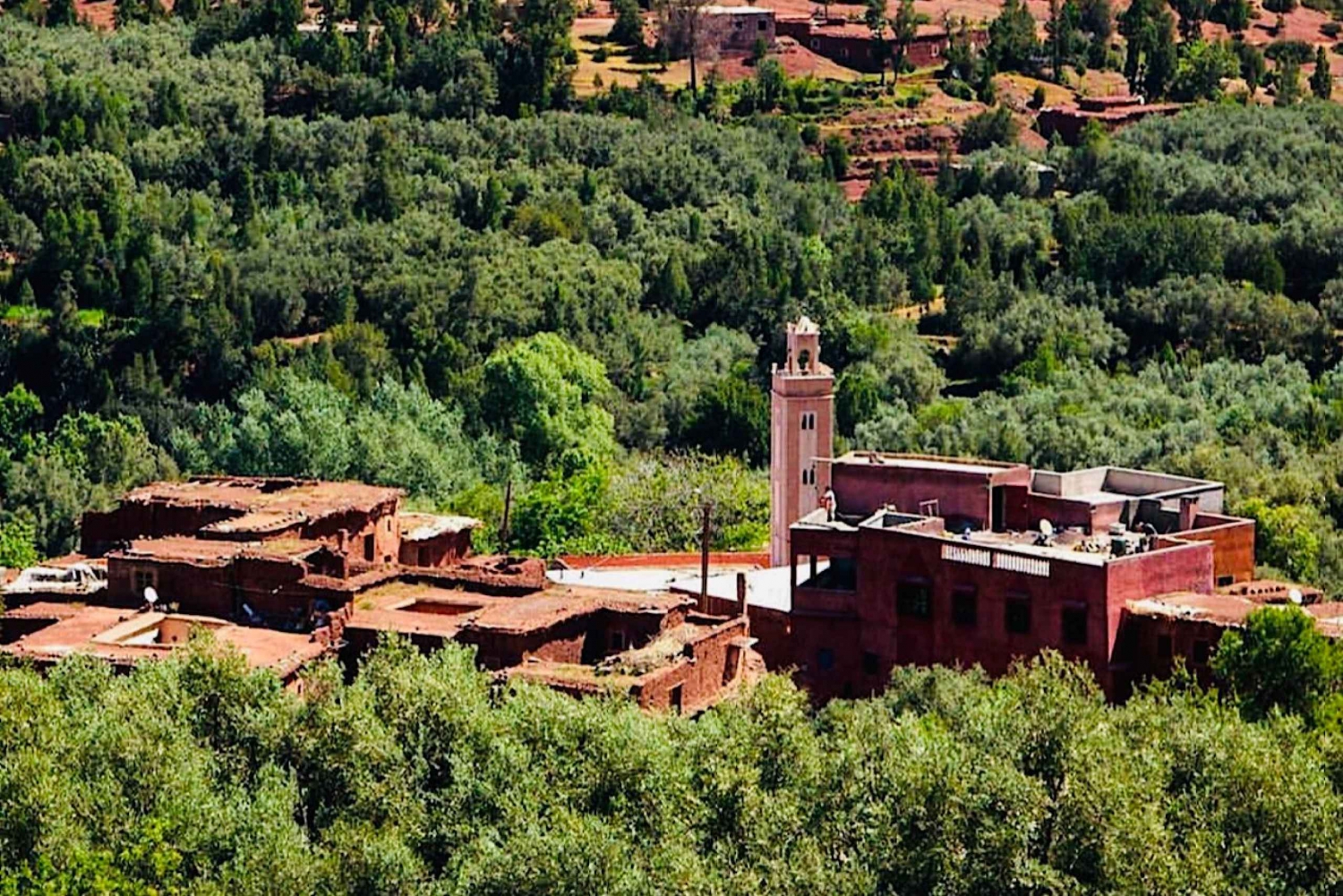 From Marrakech: Ouirgane Day Trip with Traditional Lunch