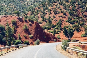Ouirgane: escursione con pranzo tradizionale da Marrakech