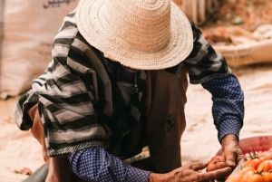 Ouirgane: escursione con pranzo tradizionale da Marrakech