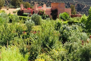 Ouirgane: escursione con pranzo tradizionale da Marrakech