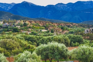 Ouirgane: escursione con pranzo tradizionale da Marrakech