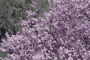 Ouirgane: escursione con pranzo tradizionale da Marrakech