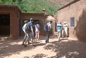 From Marrakech: Ourika Valley and Atlas Mountains Day Tour