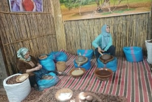 From Marrakech: Ourika Valley and Atlas Mountains Day Tour