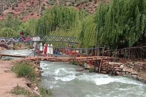 From Marrakech: Ourika Valley and Atlas Mountains Day Tour