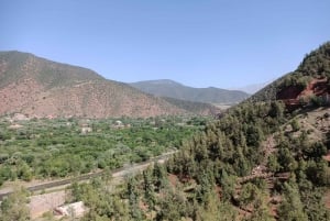 From Marrakech: Ourika Valley and Atlas Mountains Day Tour