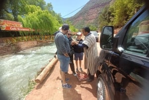 From Marrakech: Ourika Valley and Atlas Mountains Day Tour