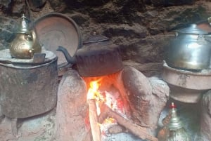 From Marrakech: Ourika Valley and Atlas Mountains Day Tour
