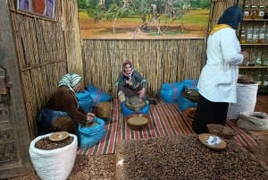 From Marrakech: Ourika Valley and Atlas Mountains Day Tour