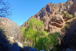 From Marrakech: Ourika Valley and Atlas Mountains Day Tour