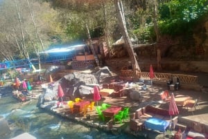 From Marrakech: Ourika Valley and Atlas Mountains Day Tour